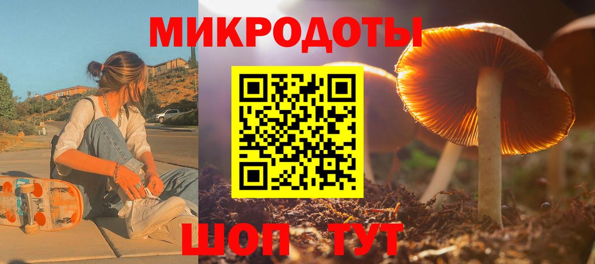 Кингисепп  Галлюциногенные грибы Magic Shrooms  Галлюциногенные грибы Cubensis  Вход с VPN 