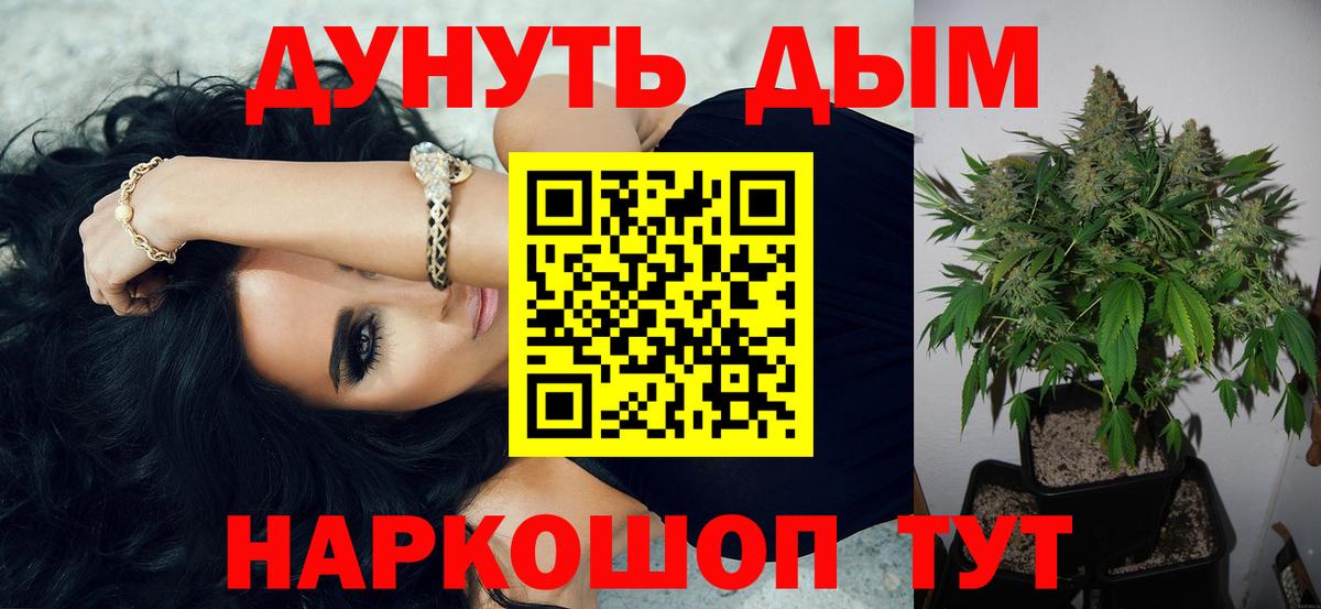 Конопля план Кингисепп